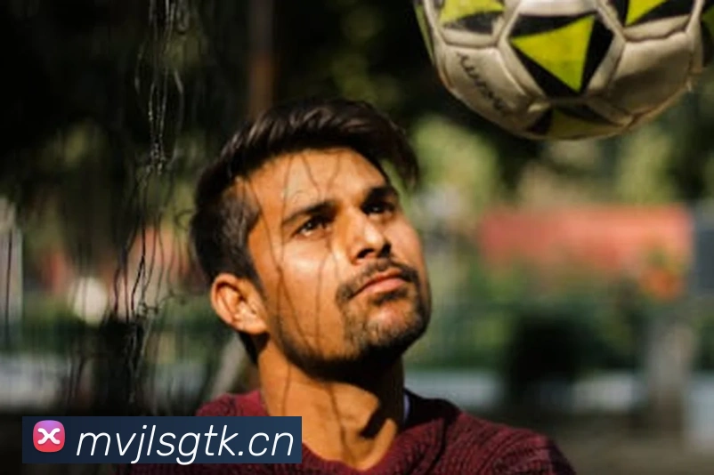 星空体育综合平台入口平台生态图